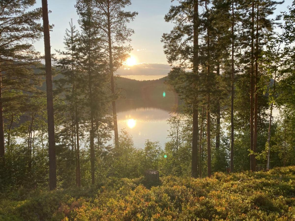 Koli Caravan Cottages Kültér fotó